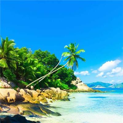 1788网投下载手机版